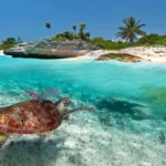 Riviera Maya: Un destino de lujo en crecimiento