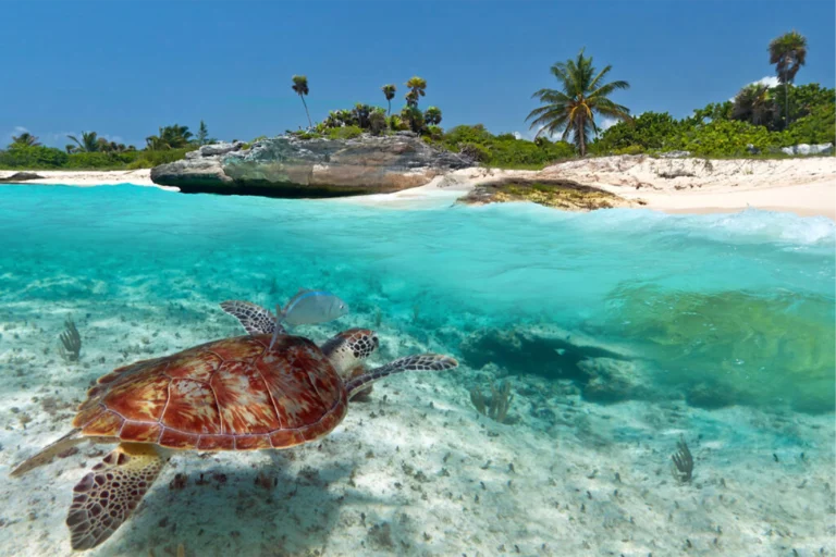 Riviera Maya: Un destino de lujo en crecimiento