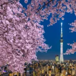 TOKIO: Entre la precisión del futuro y la memoria de la tradición